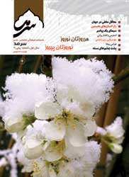 نشریه4